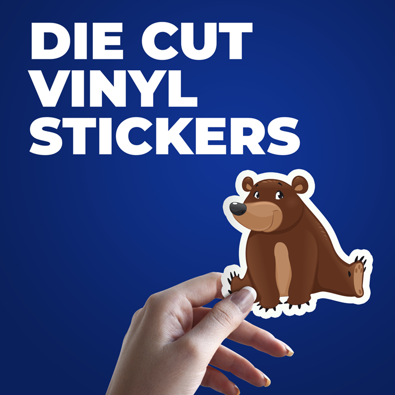 Die Cut CLEAR Vinyl Stickers